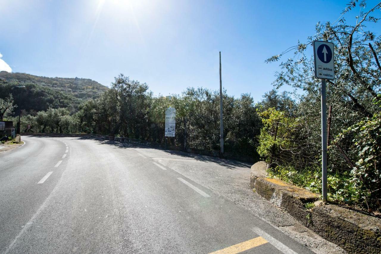 Villa Le Olivine Sorrento Eksteriør bilde