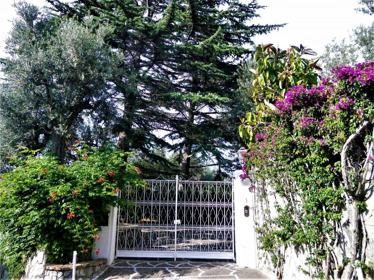 Villa Le Olivine Sorrento Eksteriør bilde
