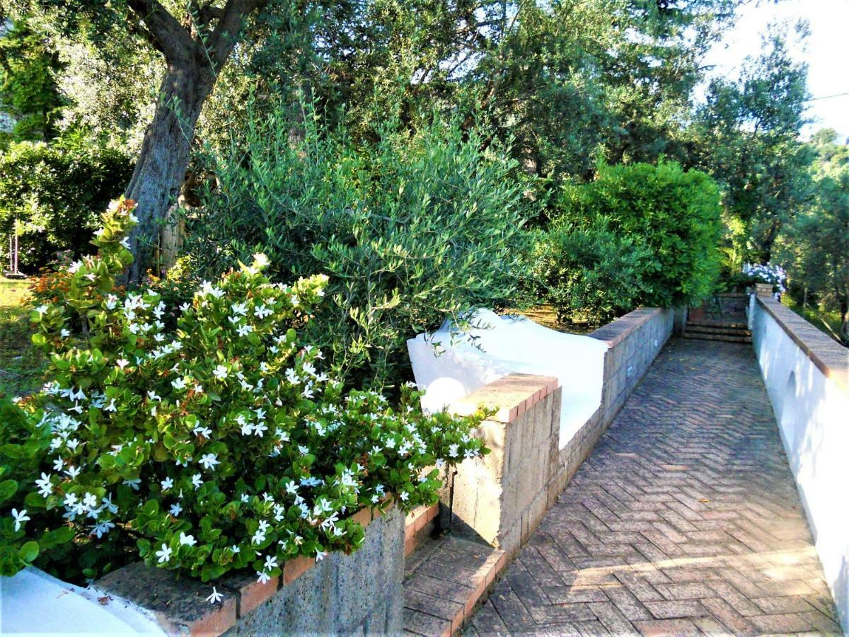 Villa Le Olivine Sorrento Eksteriør bilde
